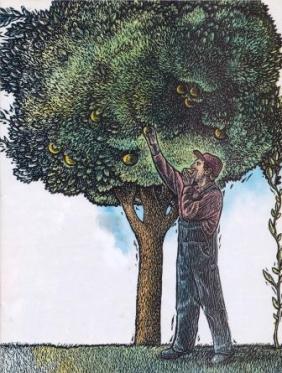 conocera si la doctrina es de Dios