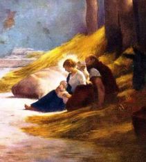 dd137ece593e8525d847cdb846fc77af