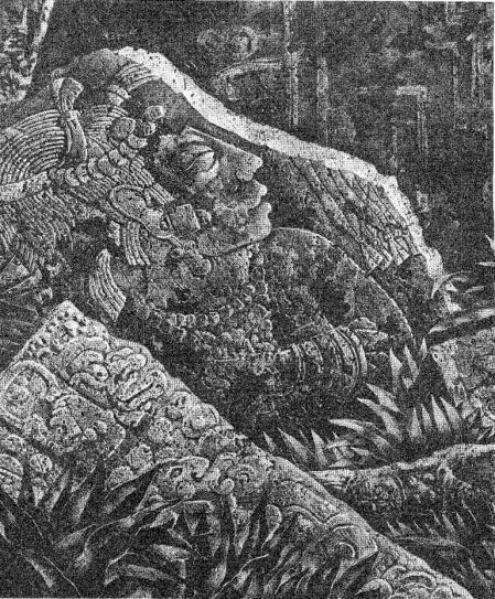 UN ANÁLISIS CIENTÍFICO DEL LIBRO DE MORMÓN.pdf - Adobe Acrobat Pro