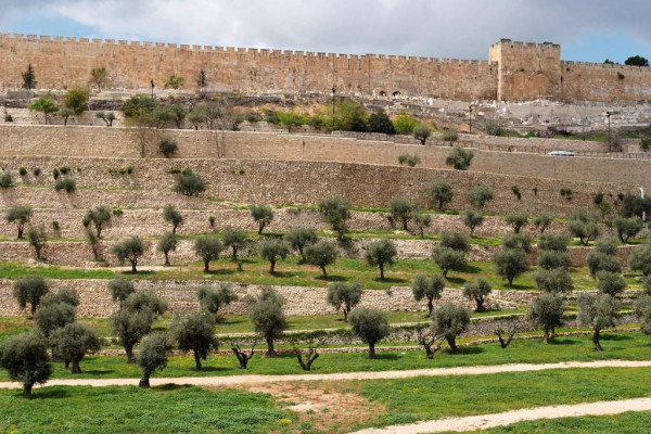 Valle de Cedrón, con la muralla de Jerusalén en el fondo.