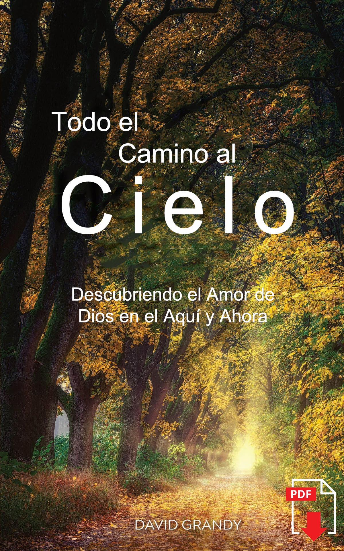 Todo el Camino al Cielo-Recuperado